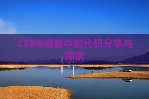 CSDN博客中的代码分享与探索